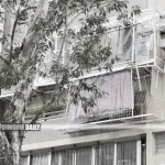 Lower Wong Tai Sin (II) Estate’s illegal structure controversy leads to Housing Department action