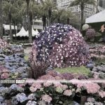 Hong Kong Flower Show 2025 invites entries for plant exhibit competition
