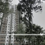 Woman in Tuen Mun Siu Shan Court injured in attempted robbery by elderly man