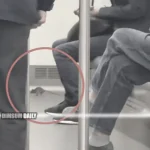 Rat causes commotion on MTR train, passenger exclaims in shock
