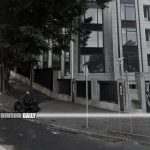 Wild boar found dead in Happy Valley after suspected fall