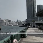 Residents brave 11°C chill for morning swim in Hung Hom