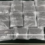 Hong Kong Customs seizes 12 kilograms of suspected cannabis buds valued at HK$3.2 million in Tsuen Wan