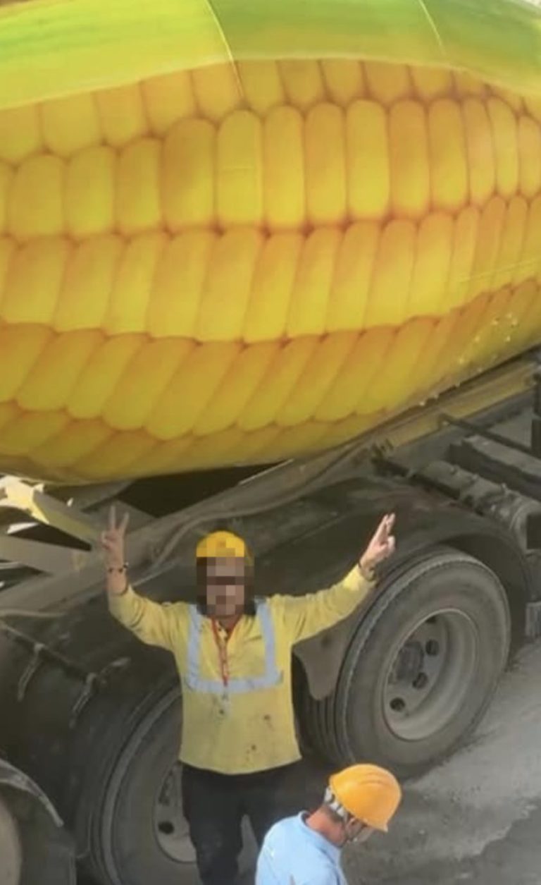Giant 