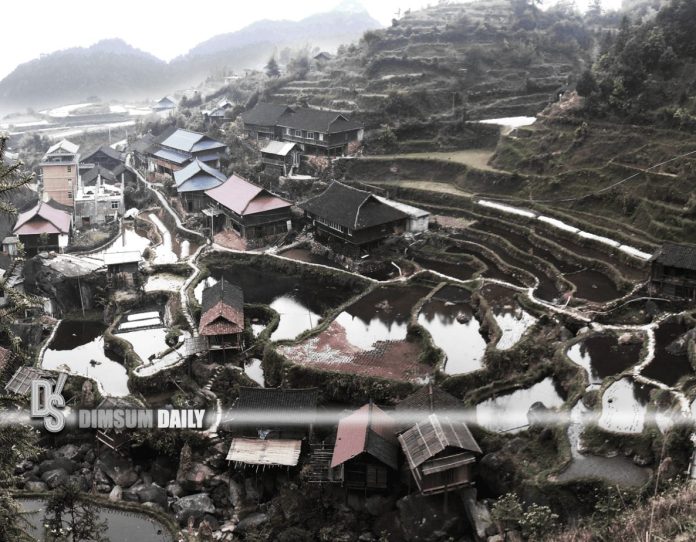 China unveils 2025 priorities for rural reform and revitalisation