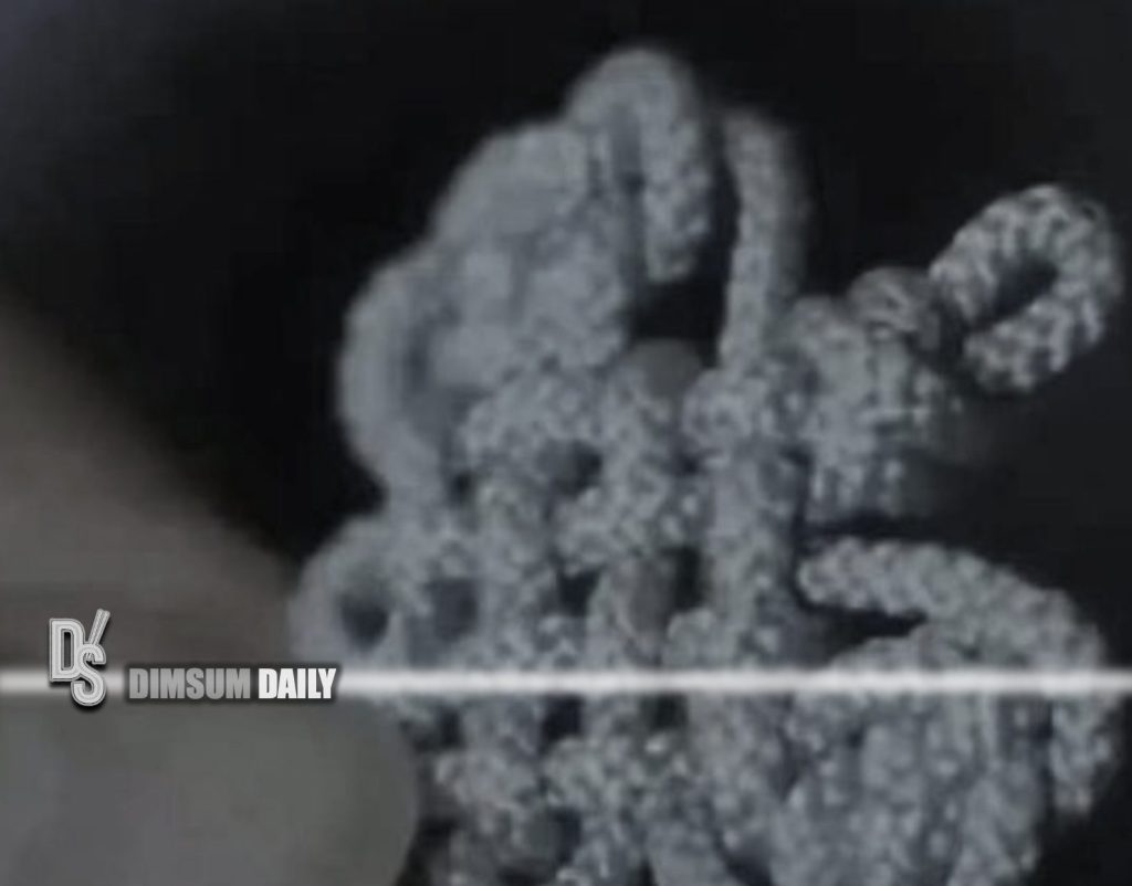 Fendi faces backlash over misattribution of Chinese knot design
