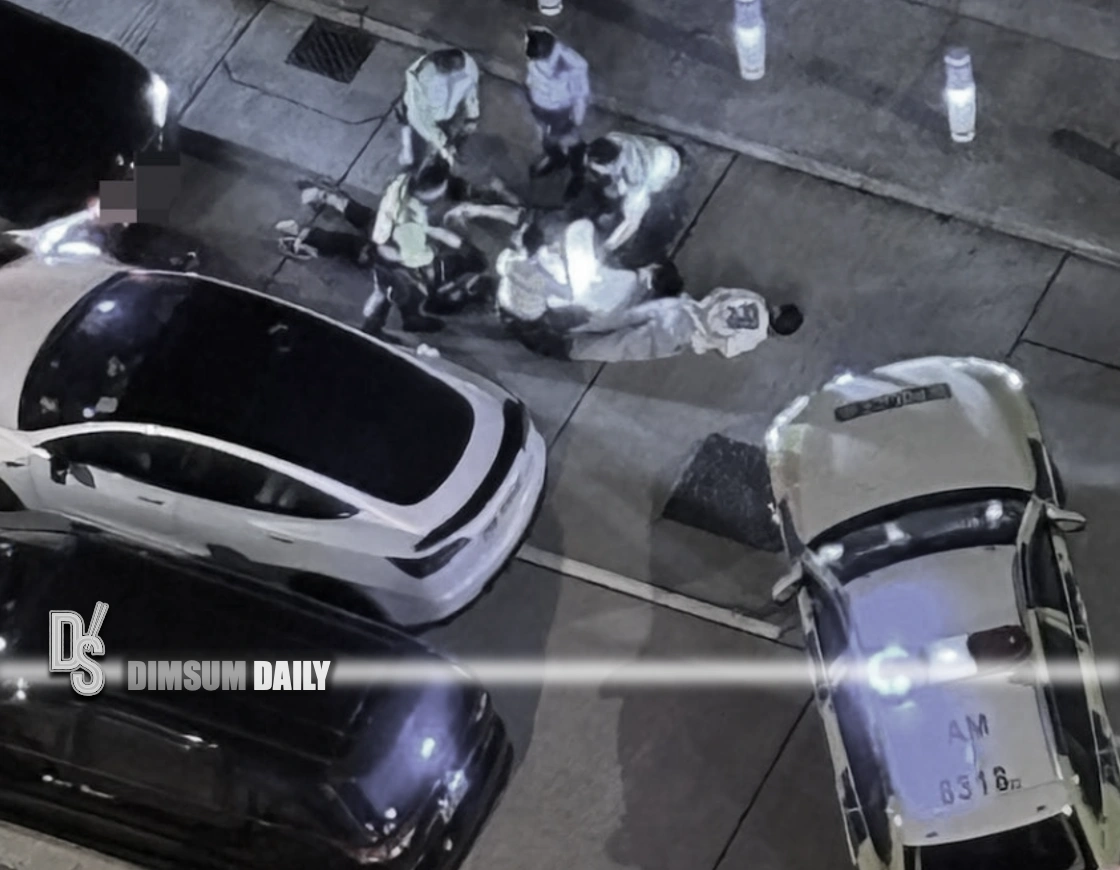 Tesla crashes into police car after 14-km pursuit following roadblock ...