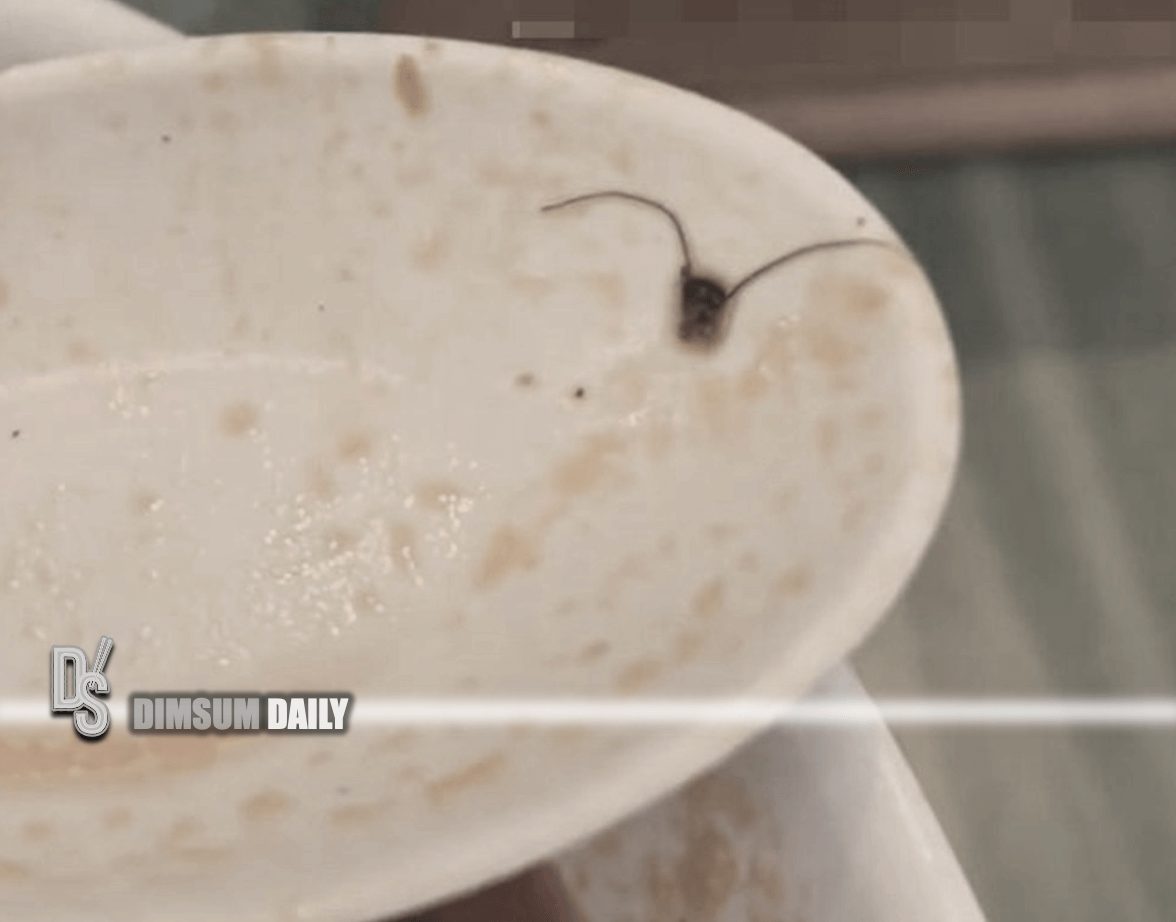 Diner in Tseung Kwan O restaurant shocked to find cockroach head in ...
