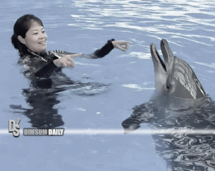 Ocean Park dolphin-3