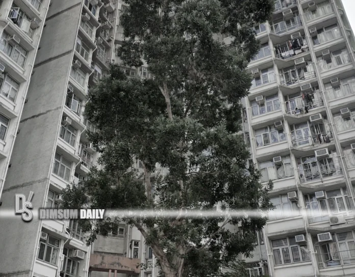 Fire breaks out at Siu Sai Wan Estate