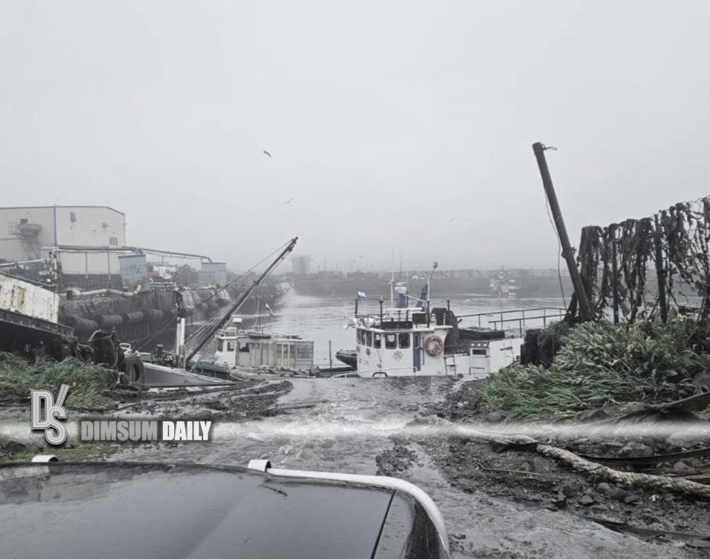 Tsunami damage pictures