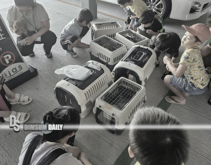 Earthquake japan 5th july