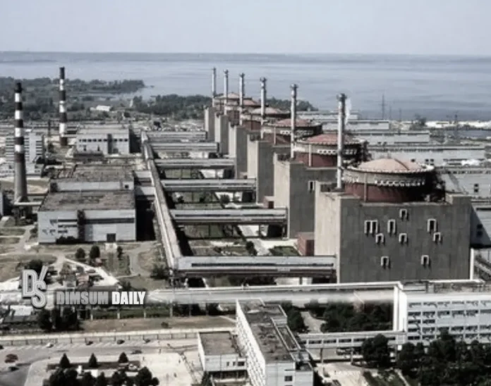 IAEA urges immediate action as Zaporizhzhia Nuclear Plant enters tenth ...