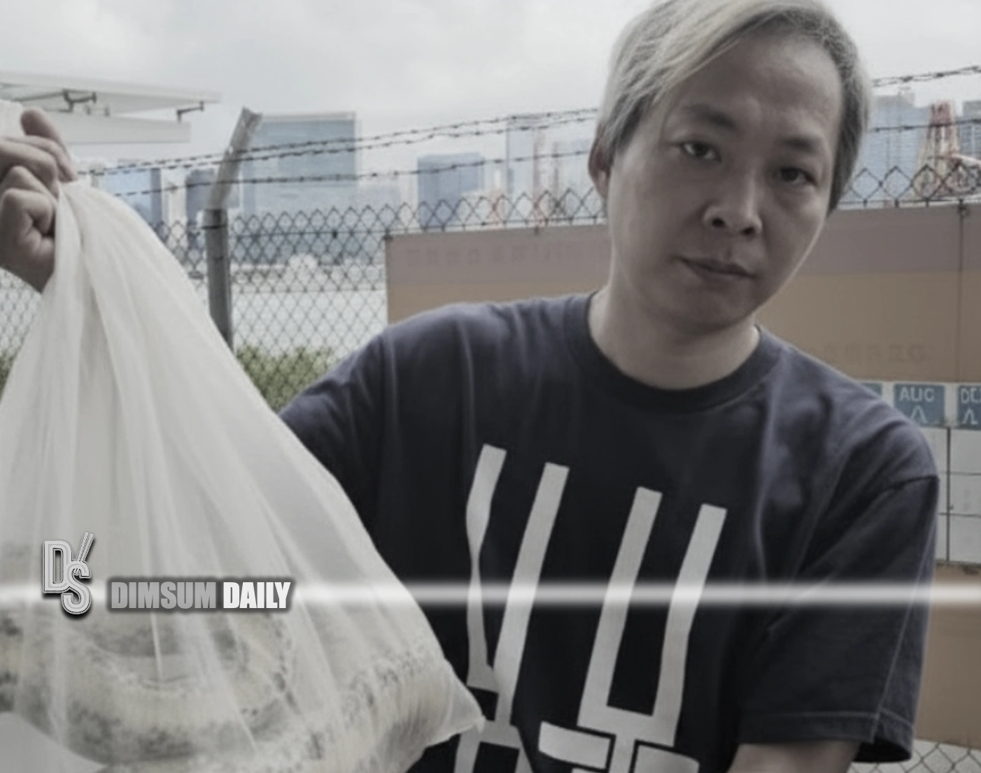 Two-metre Burmese python rescued from 10-metre high tree in To Kwa Wan