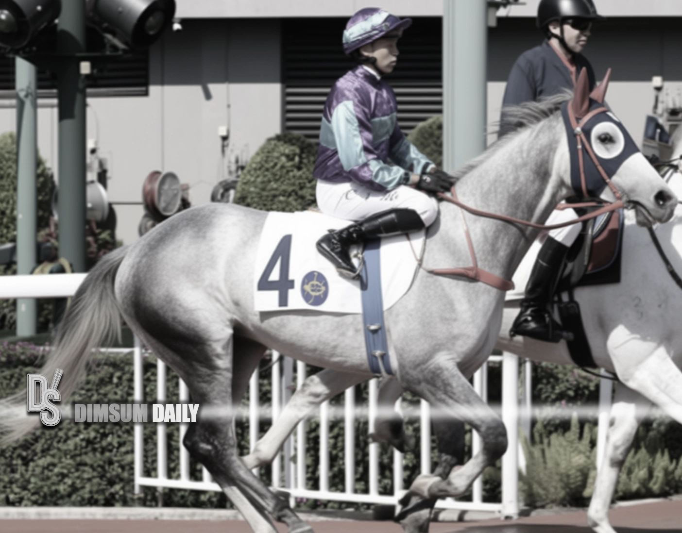 Sha Tin race void after rider unseated and loose horse runs against field
