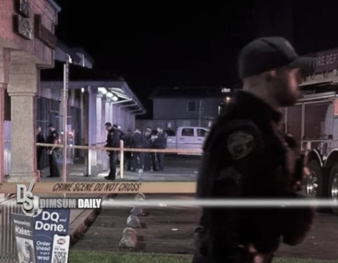 Four killed, multiple injured in shooting at child’s birthday party in ...