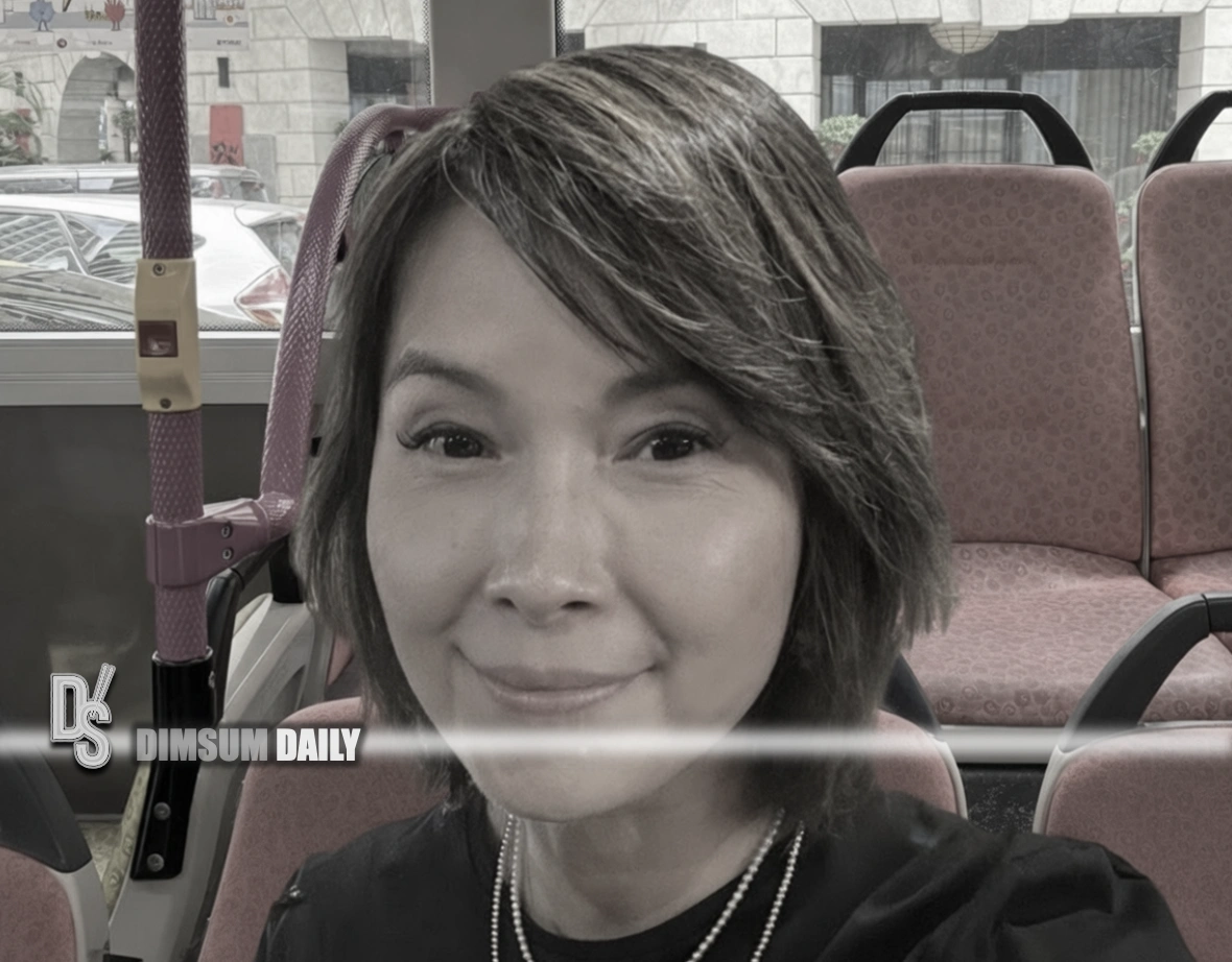 Former lawmaker Doreen Kong questions need for seatbelt rule on city buses