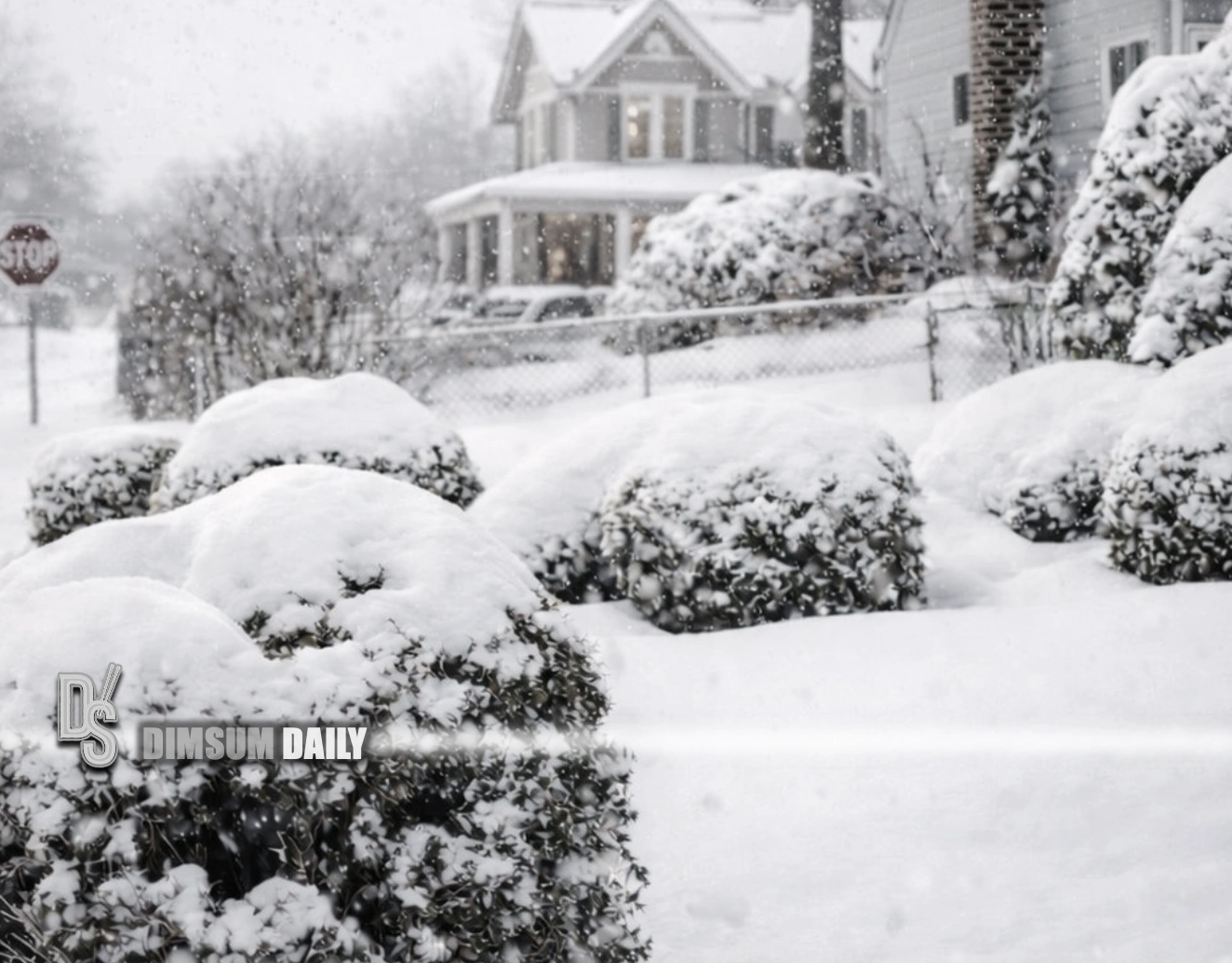 U.S. winter storm paralyses states and leaves millions in the cold