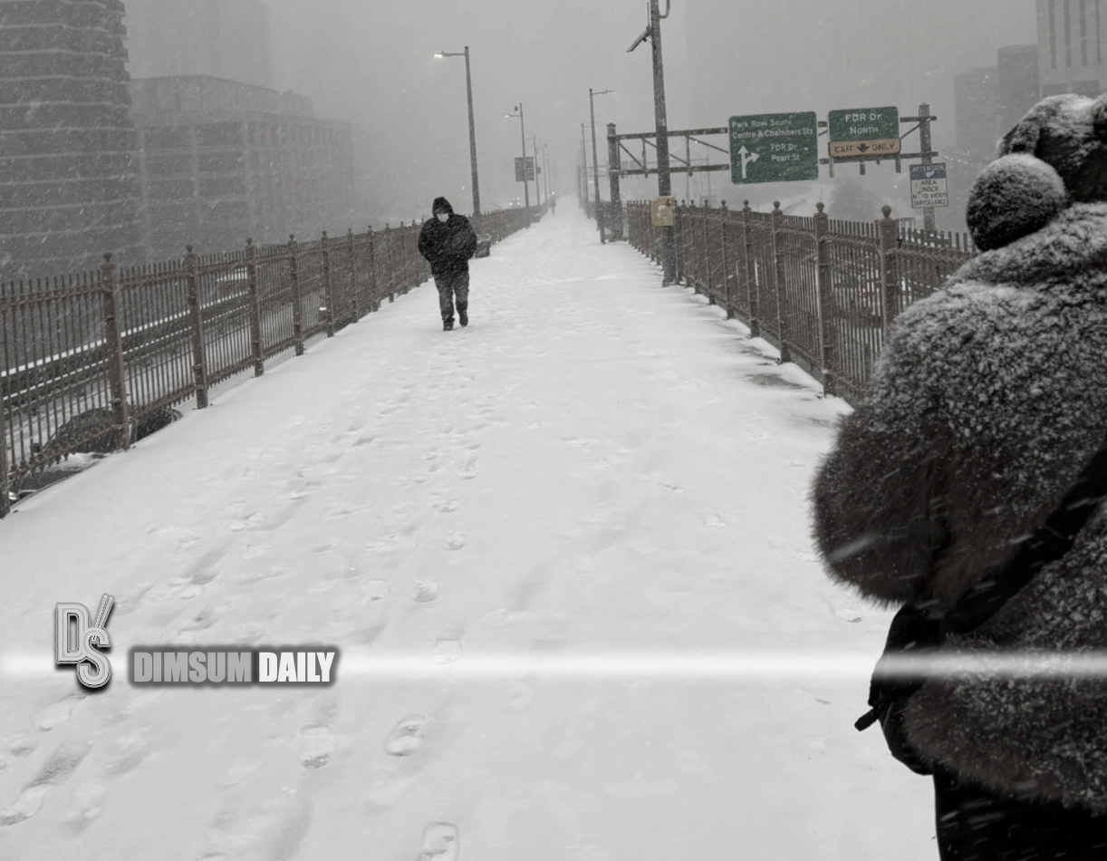 Deadly cold snap claims 14 lives across New York City