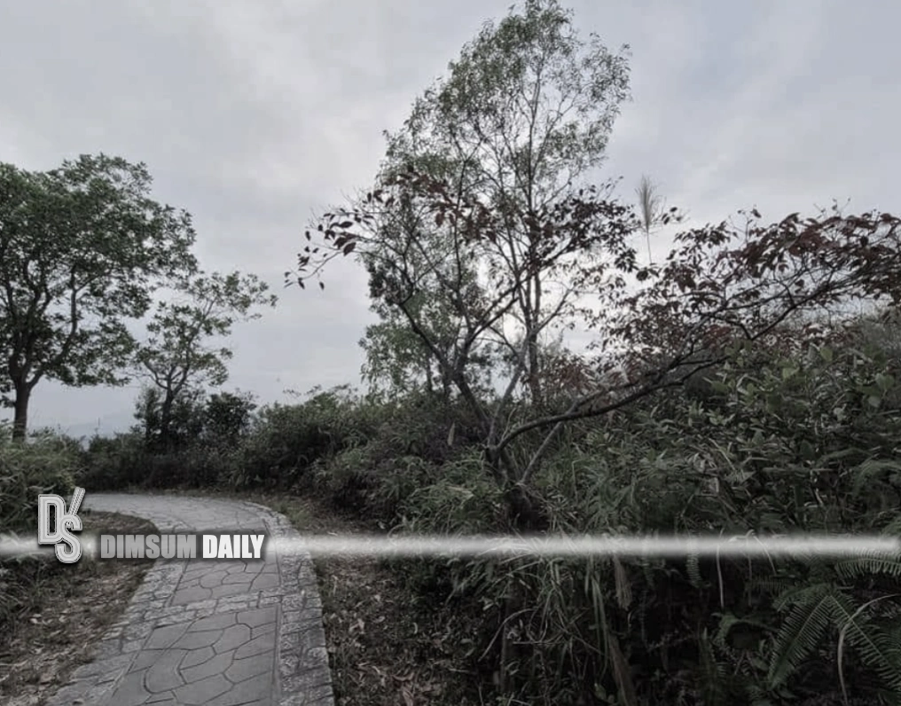 Tsing Yi Nature Trails reopen after mosquito control