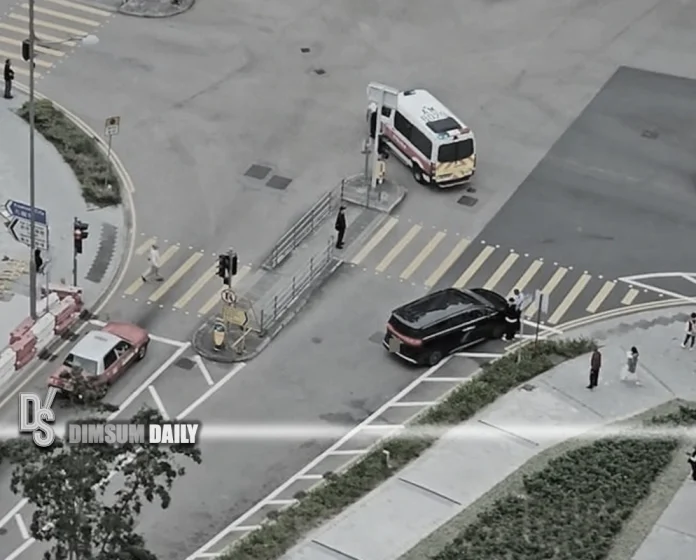 Cross-border driver stopped by police after driving wrong way