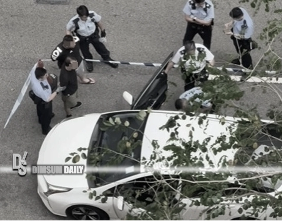 Two arrested after cannabis seizure in Tseung Kwan O