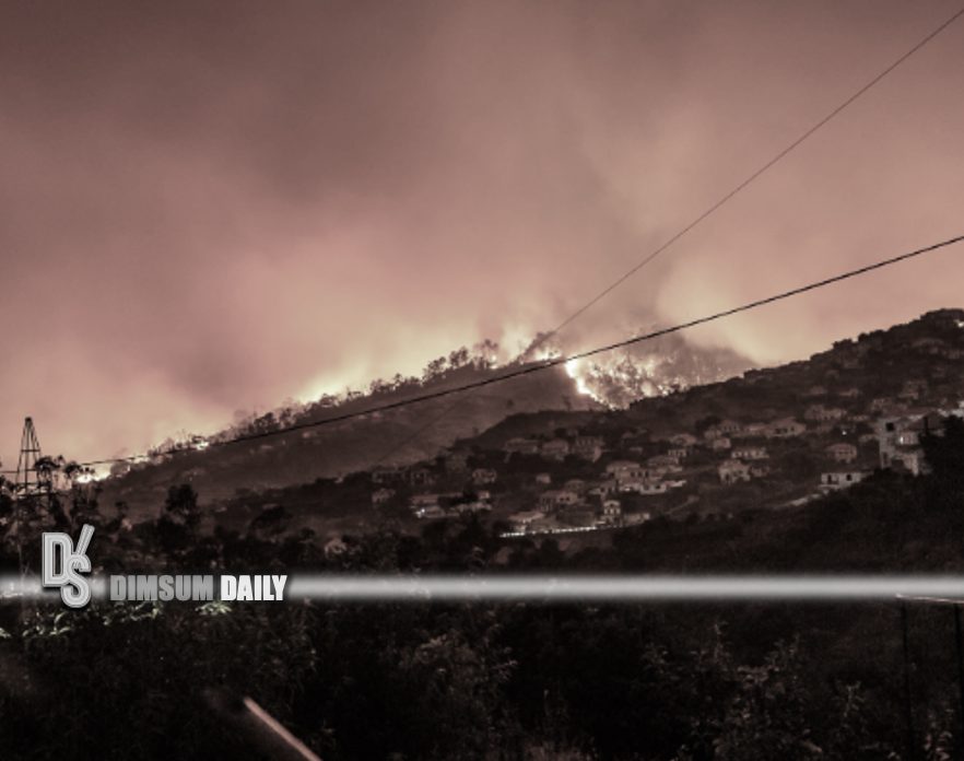 Europe hit by record climate extremes in 2025