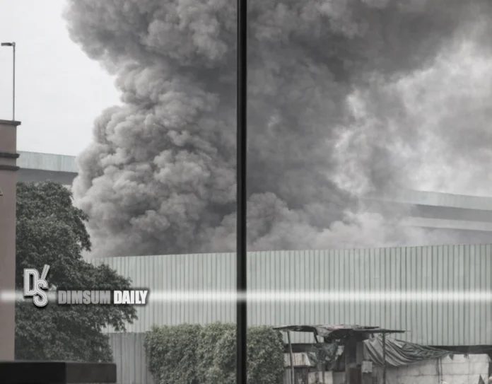 Tuen Mun Scrap Yard-1-1