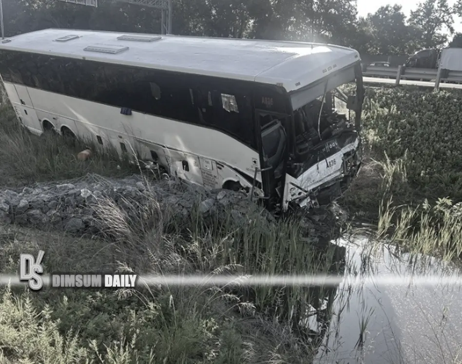 China-born driver with no English blamed as five die in Virginia bus crash