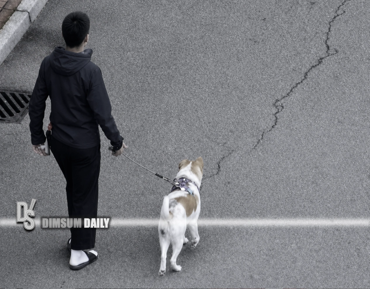 Man caught dumping dog waste on pier roof in Sham Tseng