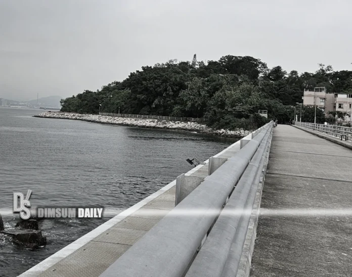 Filipino teen dies after falling into sea off Peng Chau