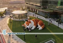 Mega Sky rooftop garden captivates Hong Kong with giant corgi inflatable and enchanting cat and dog light show
