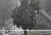 Storm leaves more than 160,000 without power across Latvia as cyclone brings widespread damage