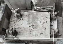 Grave of late film star Linda Lin Dai at St. Michael’s Catholic Cemetery reportedly vandalised