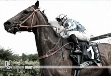 Eight-year-old champion Romantic Warrior retires after injury scans at HKJC hospital