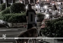 Unleashed large dog killing a small pet on a pavement in mainland China