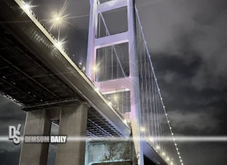 Taxi driver dies after Tsing Ma Bridge jump despite sea and air search