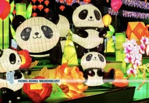 Lantern carnival lights up Victoria Park with glowing installations and festive performances