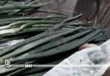 Expert rejects tissue wipe as proof of dyed spring onions