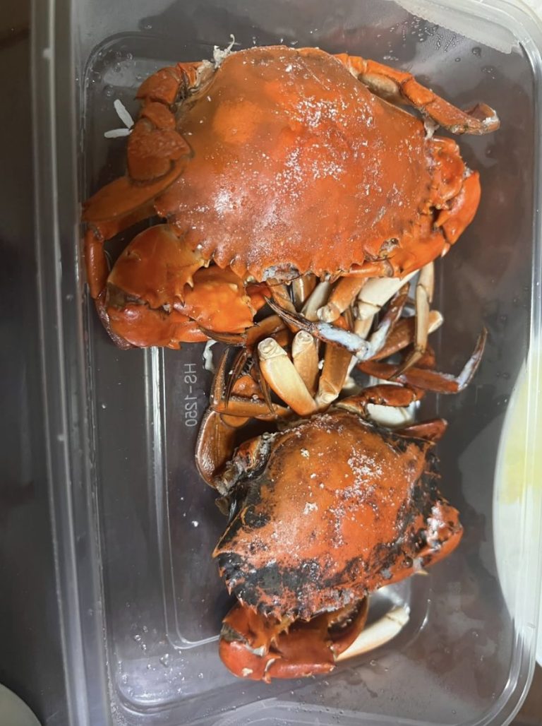 After Rice Experiment Seafood wholesaler opens three-dish rice shop with HK$48 soft-shell ...