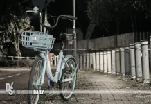3 dogs maul 27-year-old cyclist in Yuen Long, killing her