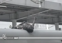 Liuzhou rail passenger electrocuted after climbing onto high speed train roof on National Day
