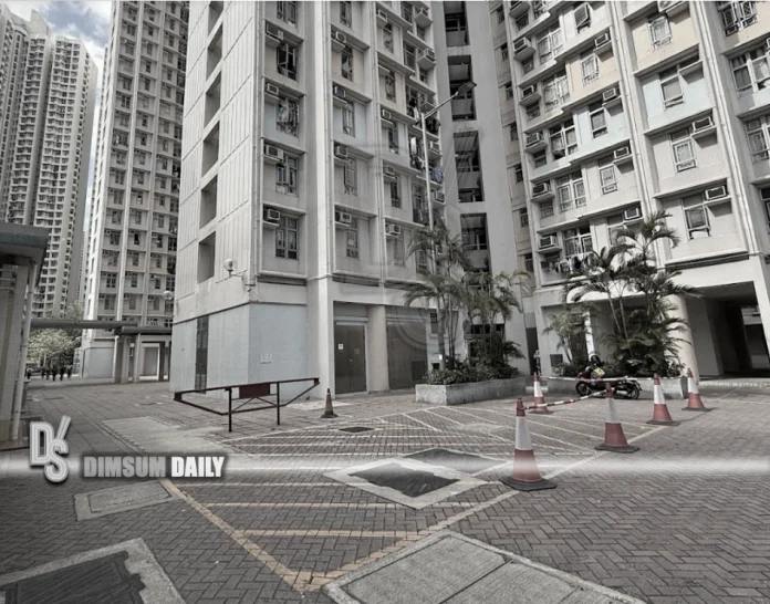 Tin Chung Court-3
