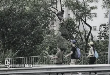 Woman in long dress climbs tree on Shatin Pass Road near TWGHs Wong Tai Sin Hospital