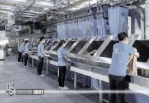 Labour Department halts Esls applications from Pionier Laundry and Coucou (HK) Catering for one year