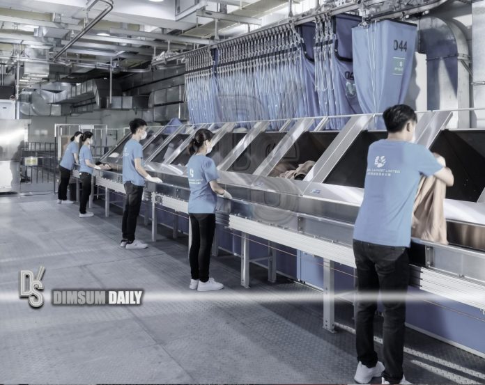 Pionier Laundry